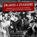 Palaces of Pleasure: From Music Halls to the Seaside to Football, How the Victorians Invented Mass Entertainment