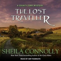 The Lost Traveller - Connolly, Sheila