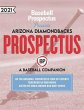 Arizona Diamondbacks 2021 - Bild 1