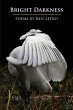 Bright Darkness - Bild 1