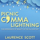 Picnic Comma Lightning: The Experience of Reality in the Twenty-First Century
