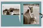 Her Horse: A Celebration in Words and Pictures