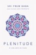 Plenitude (eBook, ePUB) - Bild 1