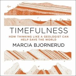 Timefulness Lib/E: How Thinking Like a Geologist Can Help Save the World - Bjornerud, Marcia