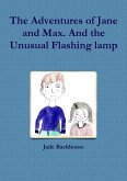 The adventures of Jane and Max and the unusual flashing lamp