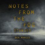 Notes from the Fog: Stories