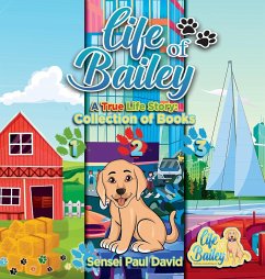 Life of Bailey - David, Sensei Paul