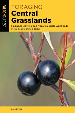 Foraging Central Grasslands - Brown, Bo