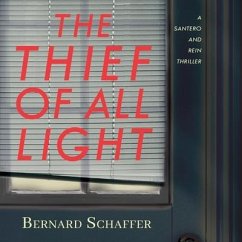 The Thief of All Light Lib/E - Schaffer, Bernard