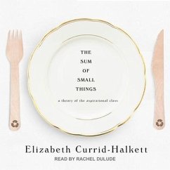 The Sum of Small Things Lib/E: A Theory of the Aspirational Class - Currid-Halkett, Elizabeth