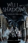 Well of Shadows Well of Shadows