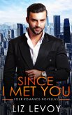 Since I Met You (eBook, ePUB)