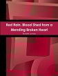 Red Rain. Blood Shed from a Mending... - Bild 1