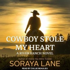 Cowboy Stole My Heart - Lane, Soraya