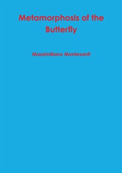 Metamorphosis of the Butterfly - Montesanti, Massimiliano