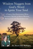 Wisdom Nuggets from God's Word to Ignite Your Soul