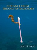 Guidance from the God of Seahorses