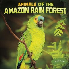 Animals of the Amazon Rain Forest - Schuh, Mari