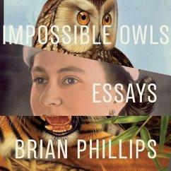 Impossible Owls: Essays - Phillips, Brian