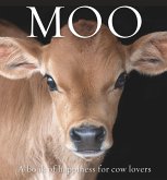 Moo Moo