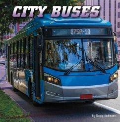 City Buses - Dickmann, Nancy