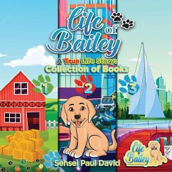 Life of Bailey - David, Sensei Paul