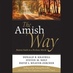 The Amish Way - Kraybill, Donald B; Nolt, Steven M; Weaver-Zercher, David L