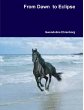 From Dawn to Eclipse - Bild 1