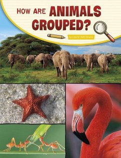 How Are Animals Grouped? - Simons, Lisa M. Bolt
