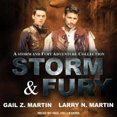 Storm & Fury Lib/E: A Storm & Fury Adventures Collection