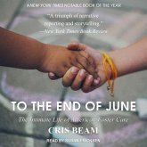 To the End of June Lib/E: The Intimate Life of American Foster Care