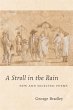 A Stroll in the Rain (eBook, ePUB) - Bild 1