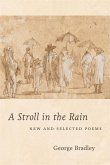 A Stroll in the Rain (eBook, ePUB)