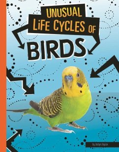 Unusual Life Cycles of Birds - Jaycox, Jaclyn