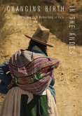 Changing Birth in the Andes (eBook, ePUB)