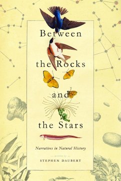 Between the Rocks and the Stars (eBook, ePUB) - Daubert, Stephen