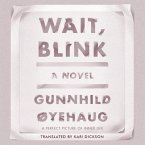 Wait, Blink: A Perfect Picture of Inner Life