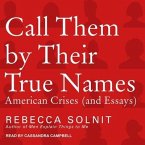 Call Them by Their True Names Lib/E: American Crises (and Essays)