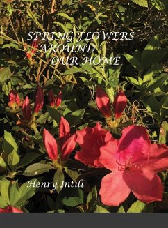 Spring Flowers - Intili, Henry