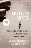 American Shtetl (eBook, ePUB) American Shtetl (eBook, ePUB)