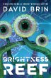 Brightness Reef - Bild 1