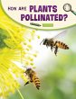 How Are Plants Pollinated? - Bild 1