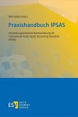 Praxishandbuch IPSAS (eBook, PDF)