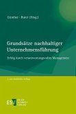 Grundsätze nachhaltiger Unternehmensführung (eBook, PDF)