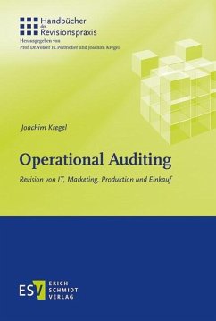 Operational Auditing (eBook, PDF) - Kregel, Joachim