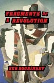 Fragments of a Revolution (eBook, ePUB)