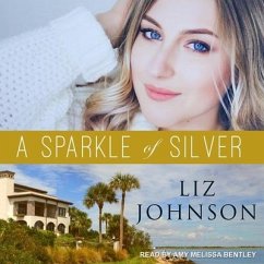 A Sparkle of Silver - Johnson, Liz