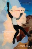 Animal Indoors Animal Indoors