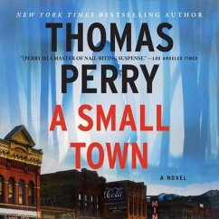 A Small Town Lib/E - Perry, Thomas