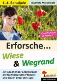 Erforsche ... Wiese & Wegrand (eBook, PDF)